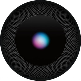Умная колонка Apple HomePod Space Gray