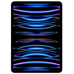 Apple iPad Pro 11" 2Tb (2022) Wi-Fi + Cellular серебристый