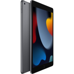 Apple iPad 9 10.2 (2021) 256GB Wi-Fi Space Gray