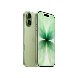 Смартфон Apple iPhone 17 512GB зеленый (eSIM)